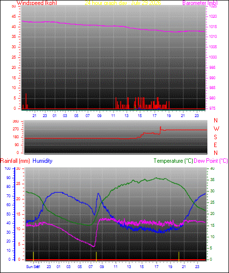 24 Hour Graph for Day 29